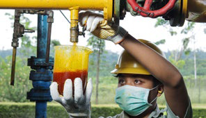 Agribusiness') }}