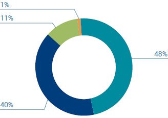 chart') }}