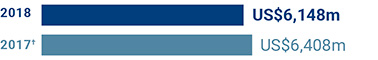 SHAREHOLDERS FUND') }}