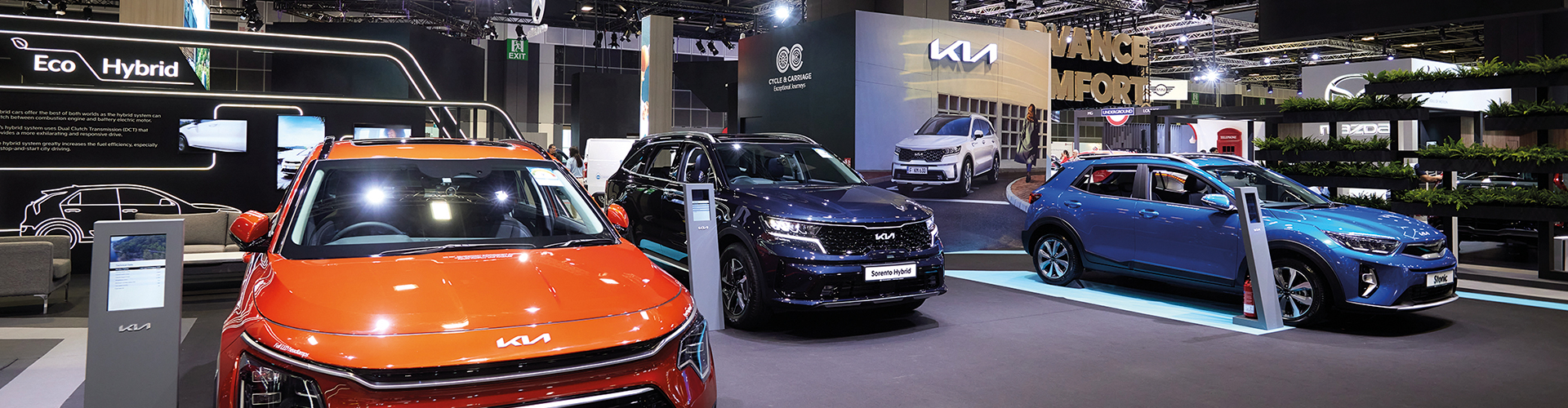 direct motor interests