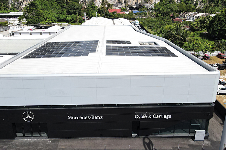 Direct Motor Interests