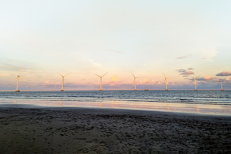 Other Strategic Interests