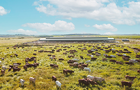 Our Sustainability Governance