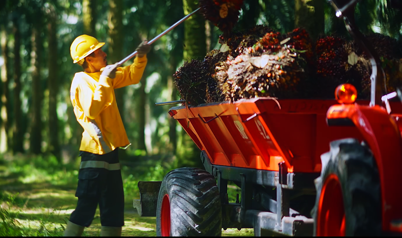 Palm Oil at Astra Agro Lestari (“AAL”)